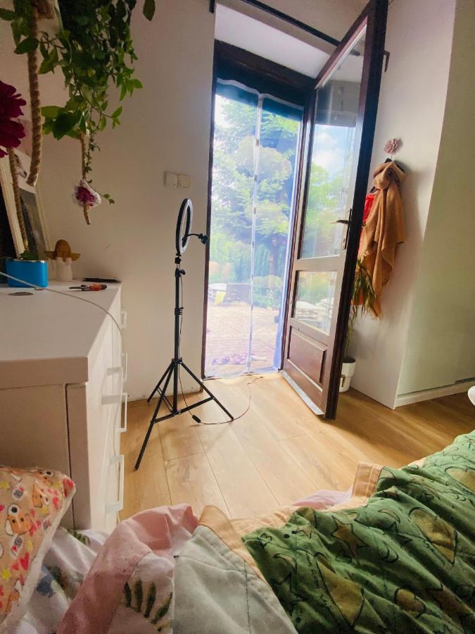 מישלניצה Zielone Zarabie Residence מראה חיצוני תמונה