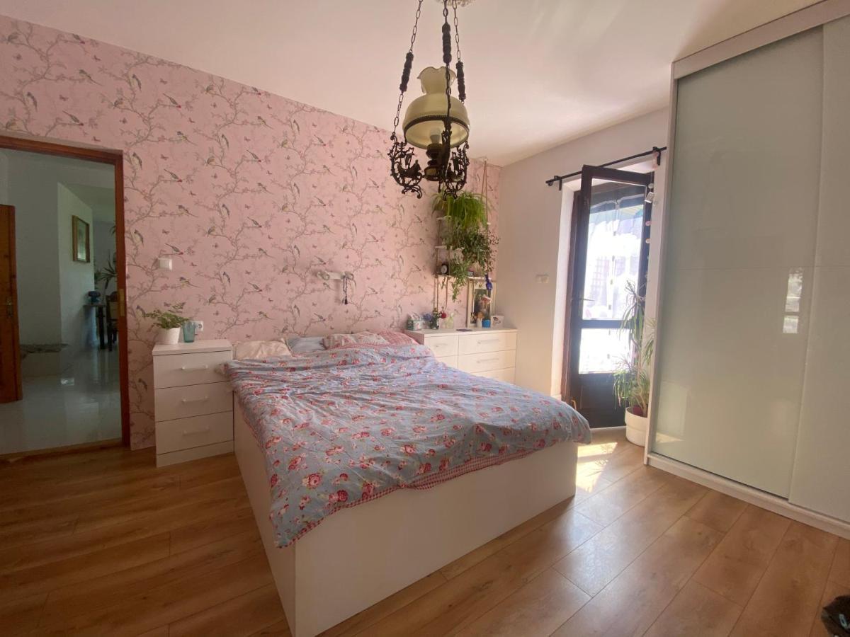 מישלניצה Zielone Zarabie Residence מראה חיצוני תמונה